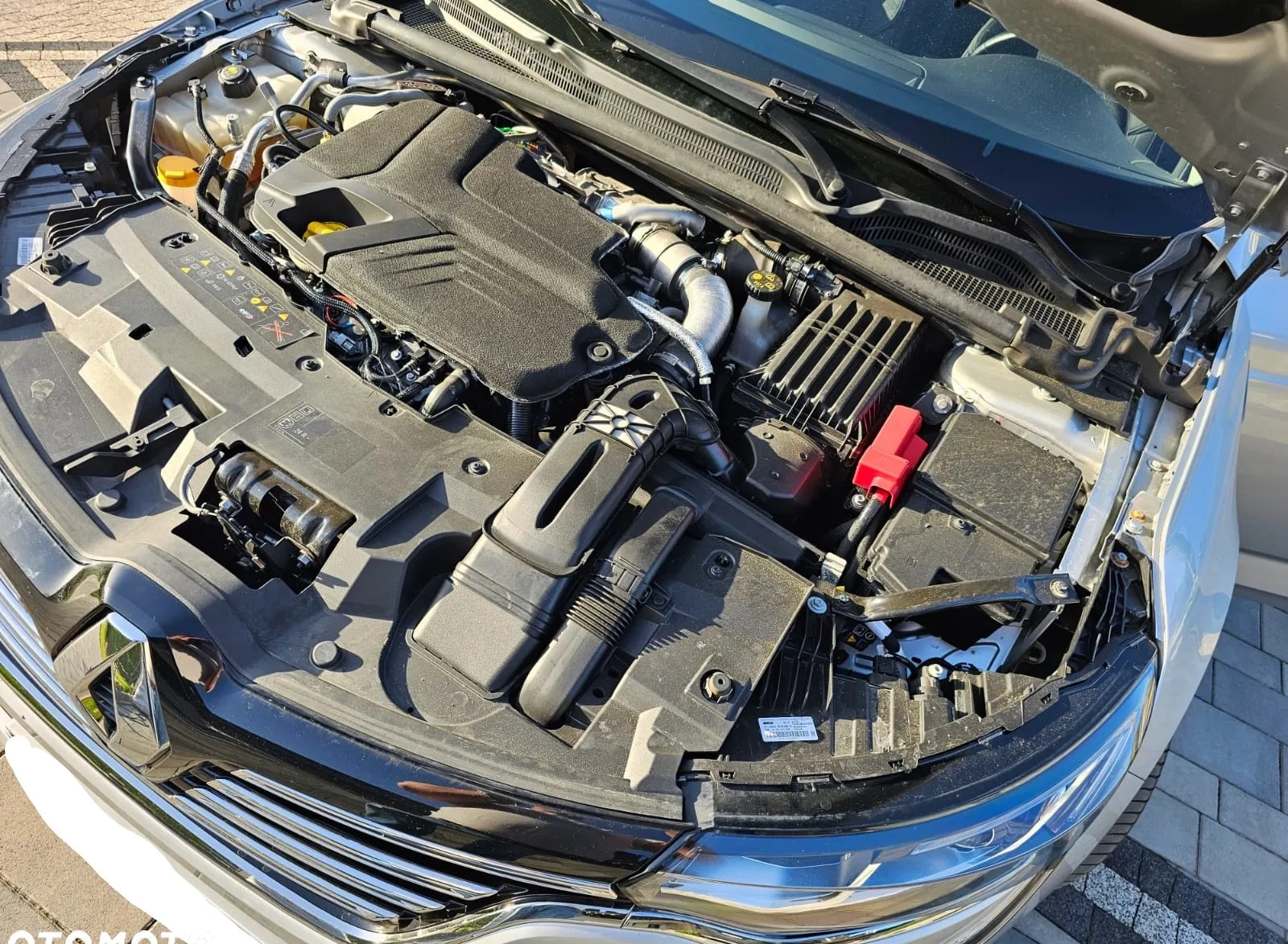Renault Talisman cena 69900 przebieg: 152000, rok produkcji 2020 z Trzebnica małe 742